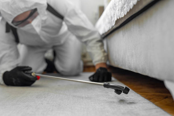 Professional Bed Bug Control technician working in DeKalb County County, IN